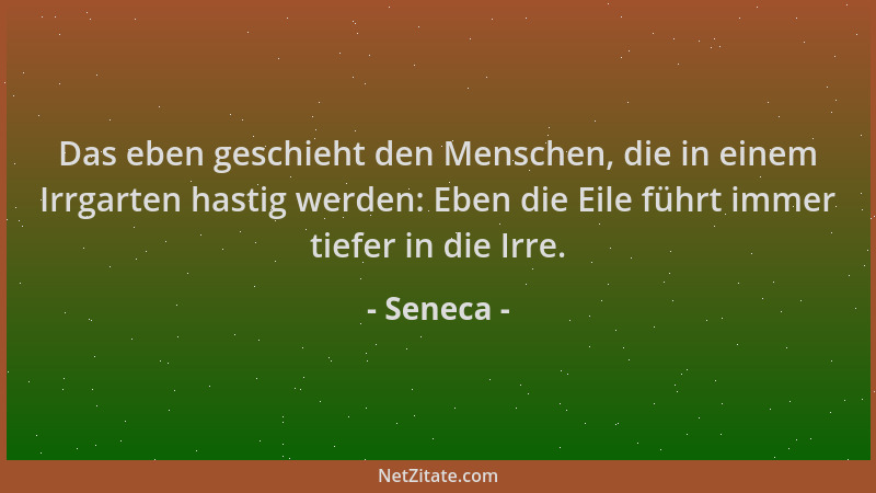 Seneca - Das eben geschieht den Menschen, die in einem Irrgarten hastig werden: Eben die Eile führt immer tiefer in die Irr...