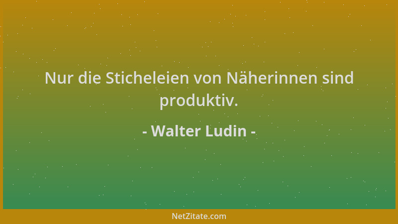 Walter Ludin - Nur die Sticheleien von Näherinnen sind produktiv....