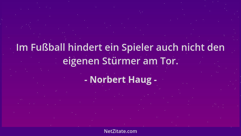 Norbert Haug - Im Fußball hindert ein Spieler auch nicht den eigenen Stürmer am Tor....
