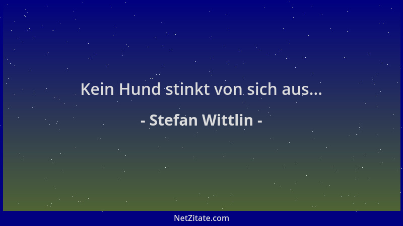 Stefan Wittlin - Kein Hund stinkt von sich aus......