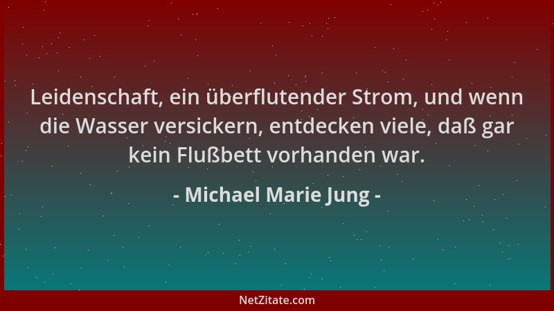 Michael Marie Jung - Leidenschaft, ein überflutender Strom, und wenn die Wasser versickern, entdecken viele, daß gar kein F...