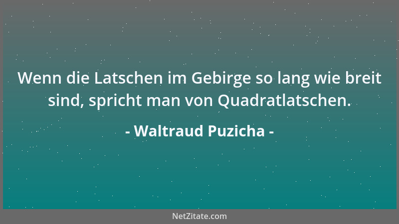 Waltraud Puzicha - Wenn die Latschen im Gebirge so lang wie breit sind, spricht man von Quadratlatschen....