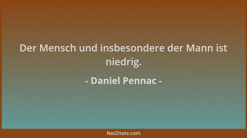 Daniel Pennac - Der Mensch und insbesondere der Mann ist niedrig....