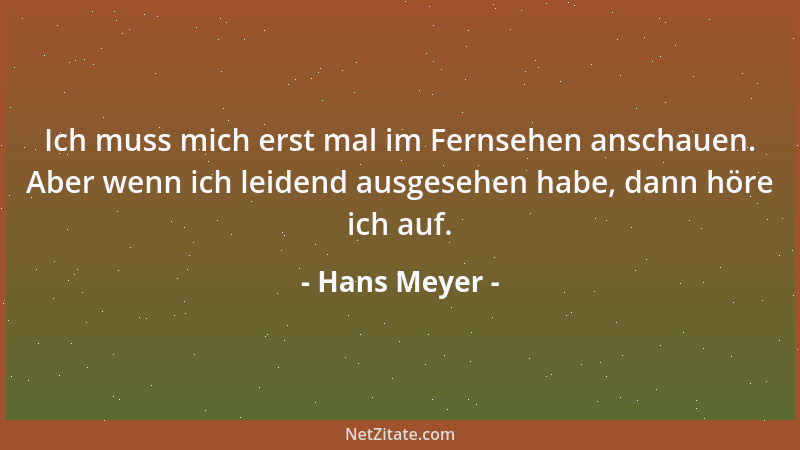 Hans Meyer - Ich muss mich erst mal im Fernsehen anschauen. Aber wenn ich leidend ausgesehen habe, dann höre ich auf....