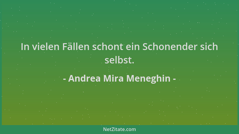 Andrea Mira Meneghin - In vielen Fällen schont ein Schonender sich selbst....