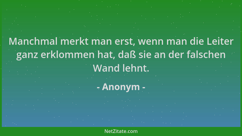 Anonym - Manchmal merkt man erst, wenn man die Leiter ganz erklommen hat, daß sie an der falschen Wand lehnt....