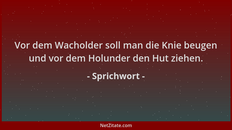 Sprichwort - Vor dem Wacholder soll man die Knie beugen und vor dem Holunder den Hut ziehen....
