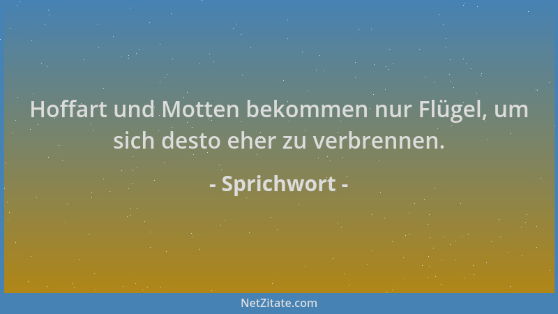Sprichwort - Hoffart und Motten bekommen nur Flügel, um sich desto eher zu verbrennen....