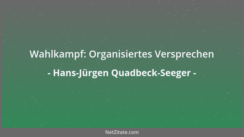Hans-Jürgen Quadbeck-Seeger - Wahlkampf: Organisiertes Versprechen...