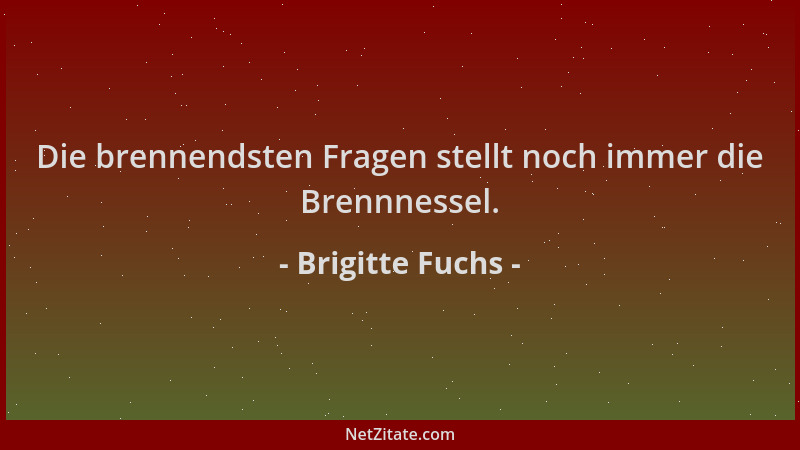 Brigitte Fuchs - Die brennendsten Fragen stellt noch immer die Brennnessel....