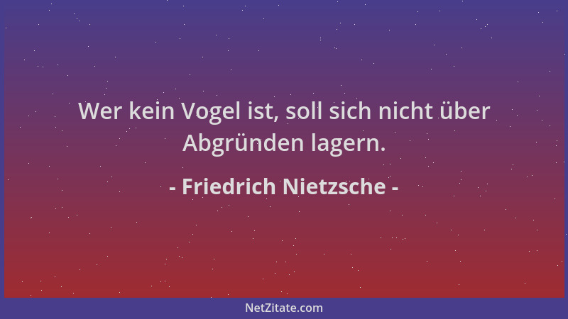 Friedrich Nietzsche - Wer kein Vogel ist, soll sich nicht über Abgründen lagern....