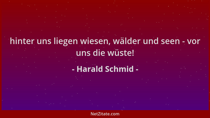 Harald Schmid - hinter uns liegen wiesen, wälder und seen - vor uns die wüste!...
