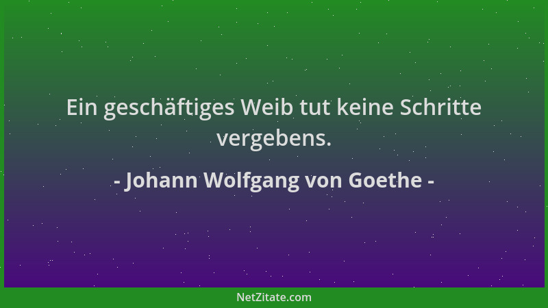 Johann Wolfgang von Goethe - Ein geschäftiges Weib tut keine Schritte vergebens....