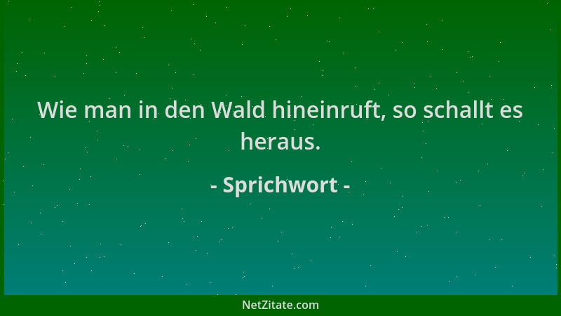 Sprichwort - Wie man in den Wald hineinruft, so schallt es heraus....