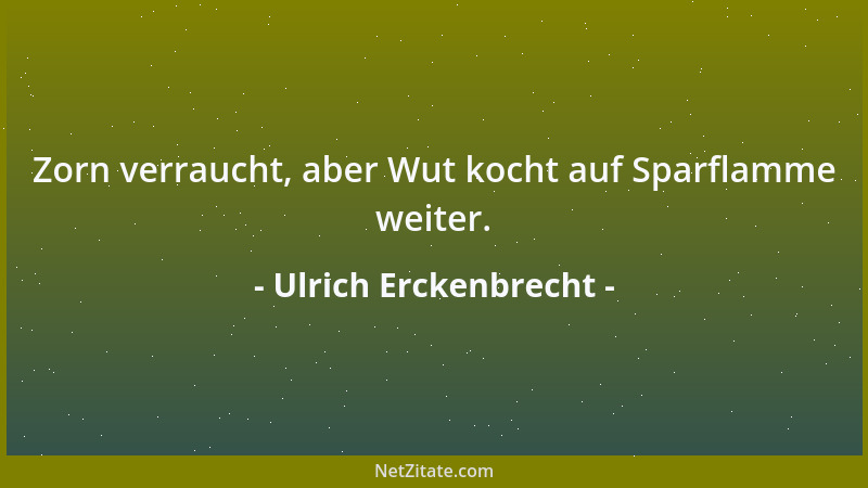 Ulrich Erckenbrecht - (Qual...ifikation) Wie wird man Rezensent? Indem man beim Lesen pennt....
