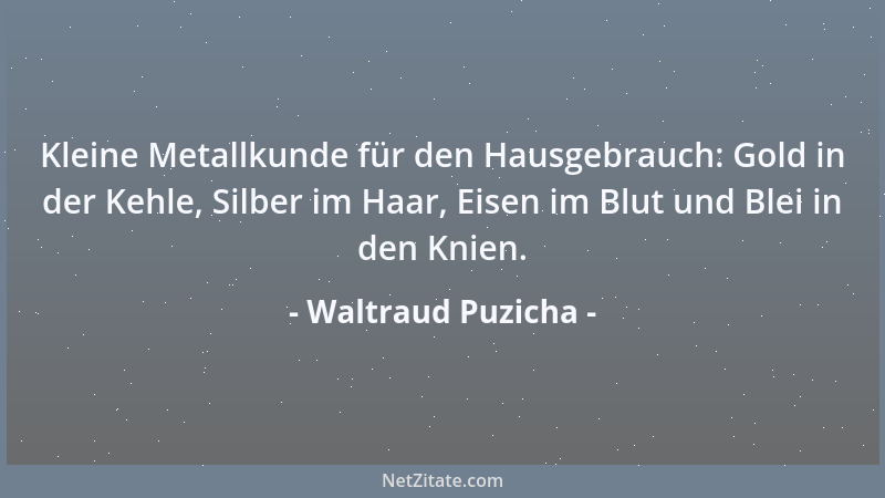 Waltraud Puzicha - Kleine Metallkunde für den Hausgebrauch: Gold in der Kehle, Silber im Haar, Eisen im Blut und Blei in de...