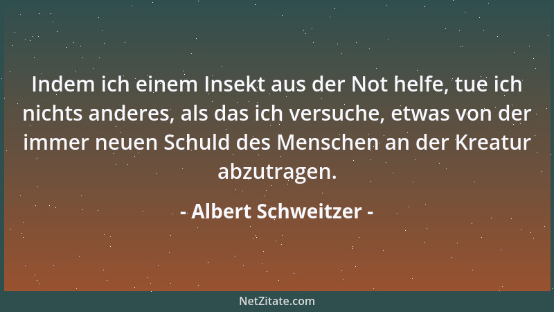 Albert Schweitzer - Indem ich einem Insekt aus der Not helfe, tue ich nichts anderes, als das ich versuche, etwas von der i...