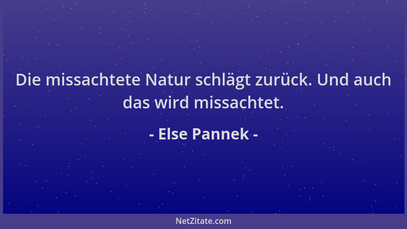 Else Pannek - Die missachtete Natur schlägt zurück. Und auch das wird missachtet....