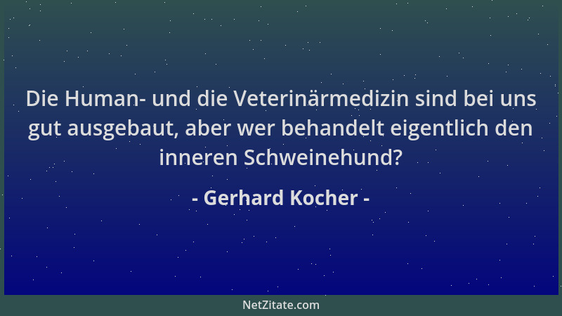 Gerhard Kocher - Die Human- und die Veterinärmedizin sind bei uns gut ausgebaut, aber wer behandelt eigentlich den inneren...
