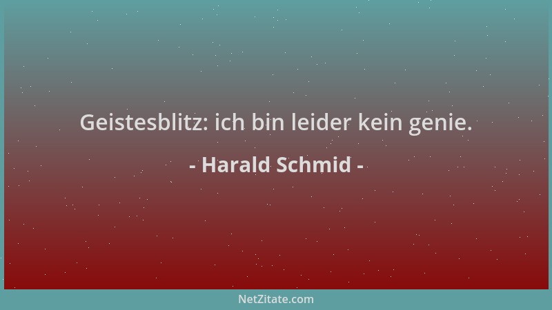 Harald Schmid - Geistesblitz: ich bin leider kein genie....