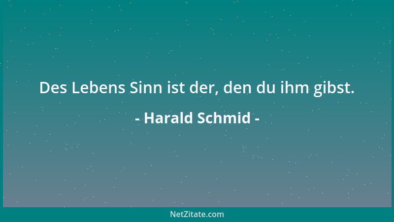 Harald Schmid - Des Lebens Sinn ist der, den du ihm gibst....