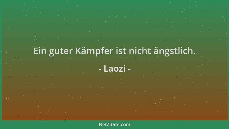 Laozi - Ein guter Kämpfer ist nicht ängstlich....