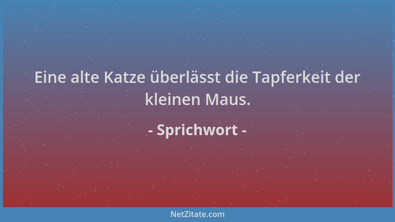 Sprichwort - Eine alte Katze überlässt die Tapferkeit der kleinen Maus....