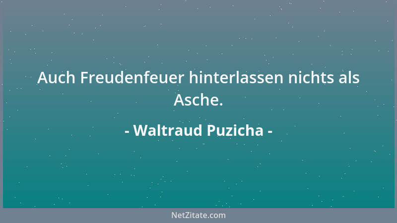 Waltraud Puzicha - Auch Freudenfeuer hinterlassen nichts als Asche....