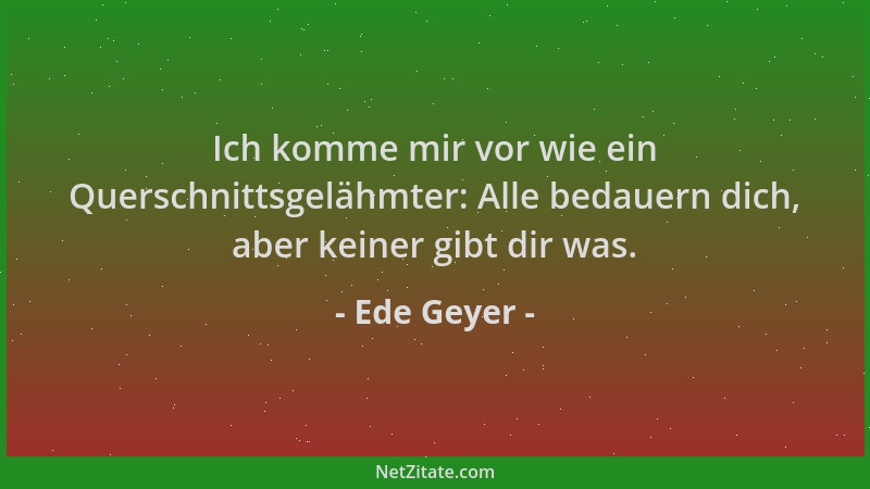 Ede Geyer - Ich komme mir vor wie ein Querschnittsgelähmter: Alle bedauern dich, aber keiner gibt dir was....