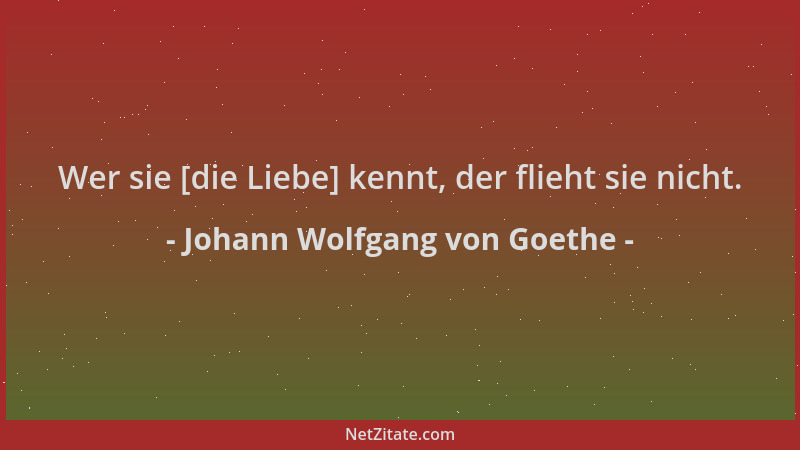 Johann Wolfgang von Goethe - Wer sie [die Liebe] kennt, der flieht sie nicht....