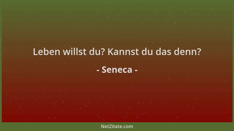 Seneca - Leben willst du? Kannst du das denn?...