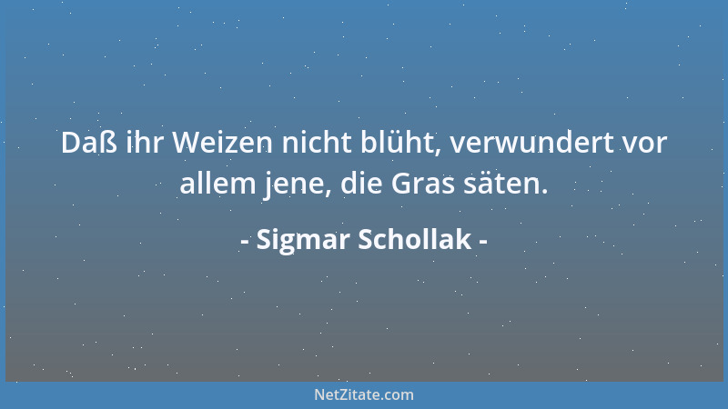 Sigmar Schollak - Daß ihr Weizen nicht blüht, verwundert vor allem jene, die Gras säten....