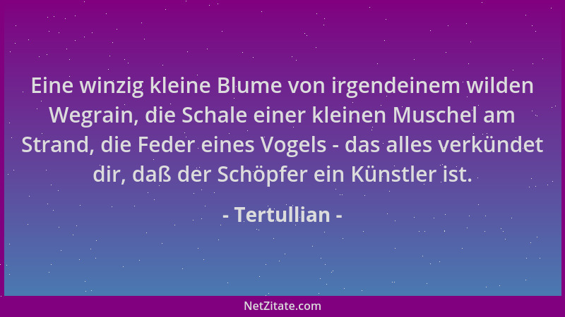 Tertullian - Eine winzig kleine Blume von irgendeinem wilden Wegrain, die Schale einer kleinen Muschel am Strand, die Feder...