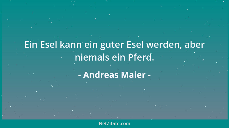 Andreas Maier - Ein Esel kann ein guter Esel werden, aber niemals ein Pferd....