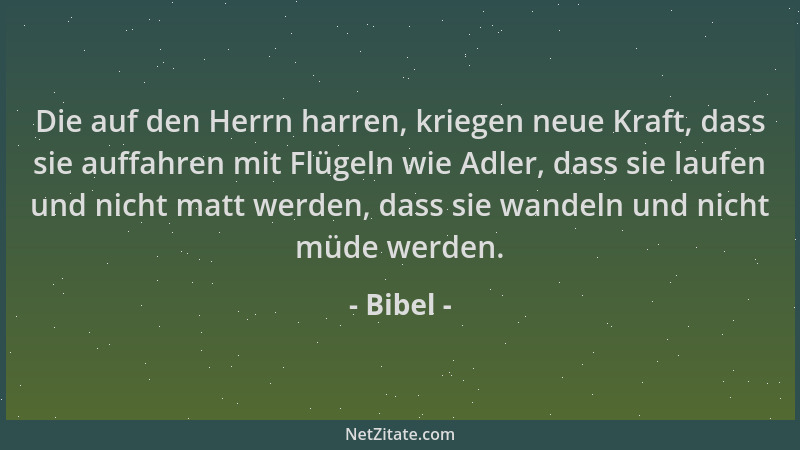 Bibel - Die auf den Herrn harren, kriegen neue Kraft, dass sie auffahren mit Flügeln wie Adler, dass sie laufen und nicht m...