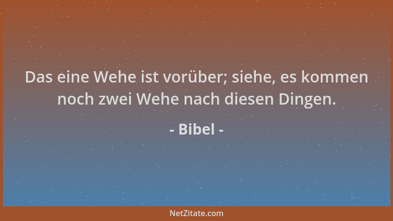 Bibel - Das eine Wehe ist vorüber; siehe, es kommen noch zwei Wehe nach diesen Dingen....