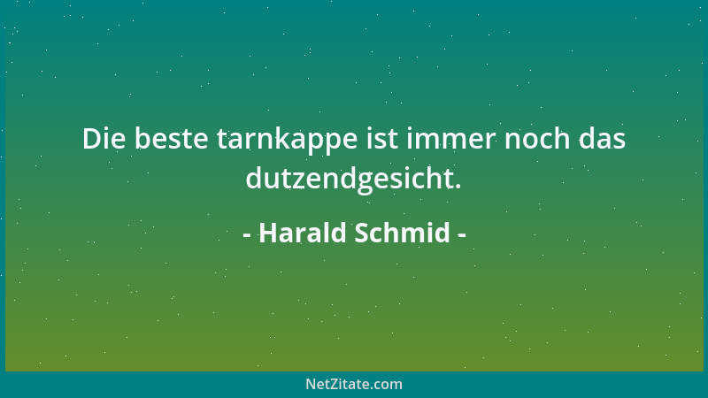 Harald Schmid - Die beste tarnkappe ist immer noch das dutzendgesicht....
