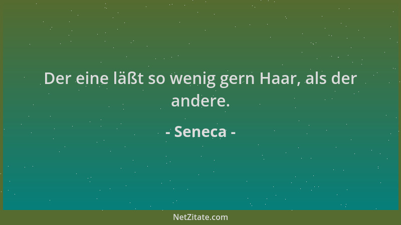 Seneca - Der eine läßt so wenig gern Haar, als der andere....