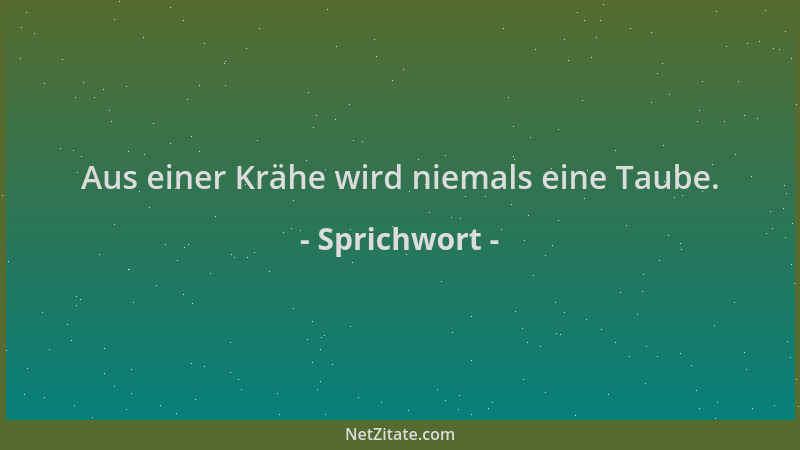 Sprichwort - Aus einer Krähe wird niemals eine Taube....
