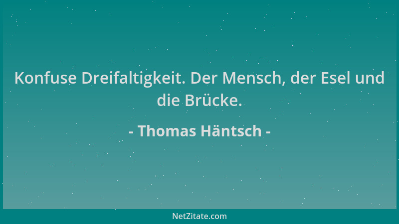 Thomas Häntsch - Konfuse Dreifaltigkeit. Der Mensch, der Esel und die Brücke....