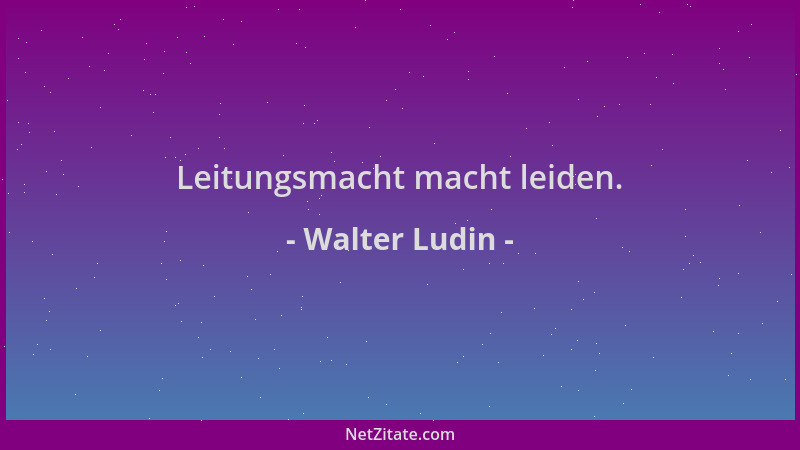 Walter Ludin - Leitungsmacht macht leiden....