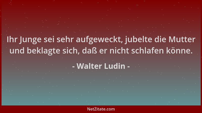 Walter Ludin - Ihr Junge sei sehr aufgeweckt, jubelte die Mutter und beklagte sich, daß er nicht schlafen könne....