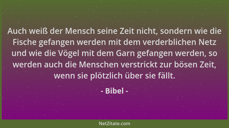 Bibel - Auch weiß der Mensch seine Zeit nicht, sondern wie die Fische gefangen werden mit dem verderblichen Netz und wie di...