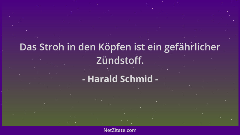 Harald Schmid - Das Stroh in den Köpfen ist ein gefährlicher Zündstoff....