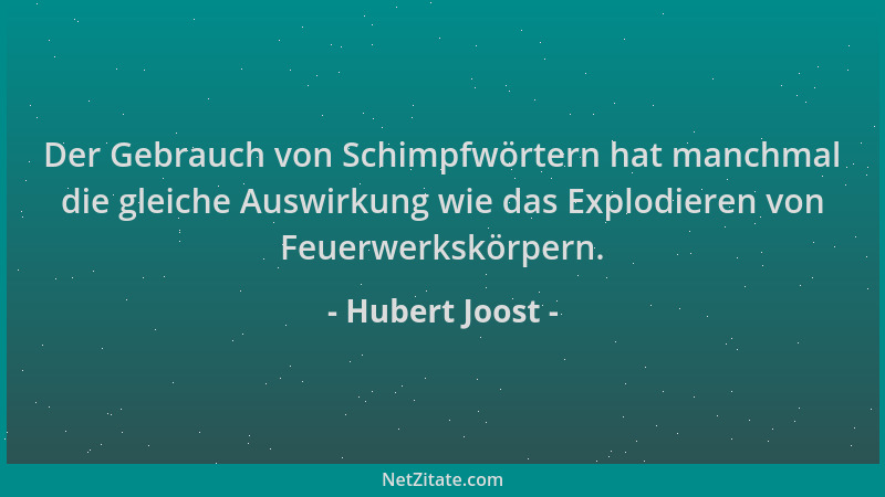 Hubert Joost - Der Gebrauch von Schimpfwörtern hat manchmal die gleiche Auswirkung wie das Explodieren von Feuerwerkskörper...