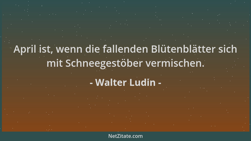 Walter Ludin - April ist, wenn die fallenden Blütenblätter sich mit Schneegestöber vermischen....