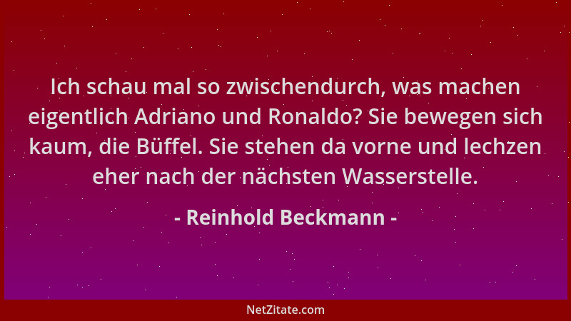 Reinhold Beckmann - Ich schau mal so zwischendurch, was machen eigentlich Adriano und Ronaldo? Sie bewegen sich kaum, die B...