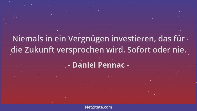 Daniel Pennac - Niemals in ein Vergnügen investieren, das für die Zukunft versprochen wird. Sofort oder nie....