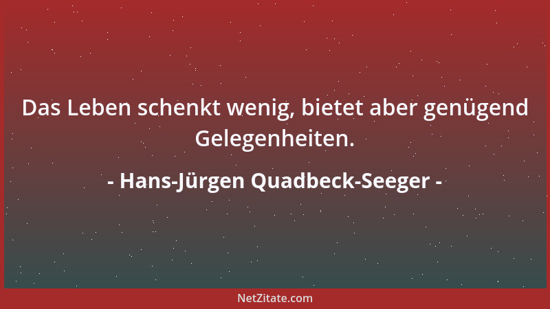 Hans-Jürgen Quadbeck-Seeger - Das Leben schenkt wenig, bietet aber genügend Gelegenheiten....