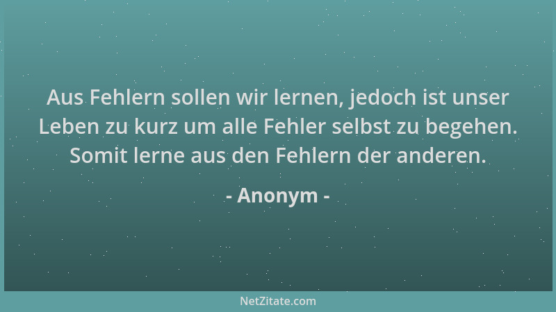 Anonym - Aus Fehlern sollen wir lernen, jedoch ist unser Leben zu kurz um alle Fehler selbst zu begehen. Somit lerne aus de...